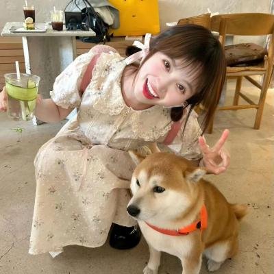 熊猫大侠